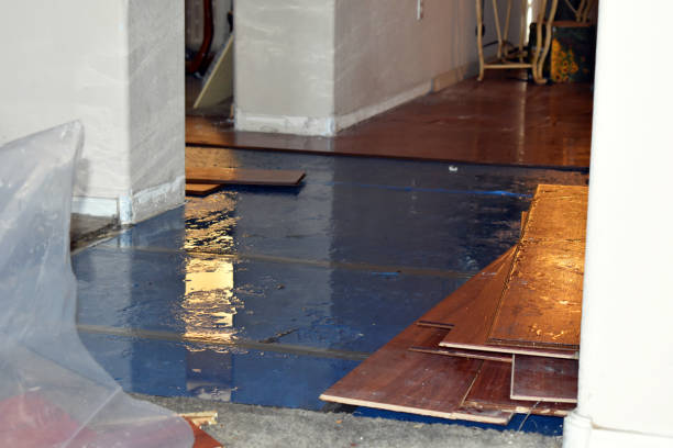 Professional Burst Pipe Cleanup technician working in Lewis Center, OH